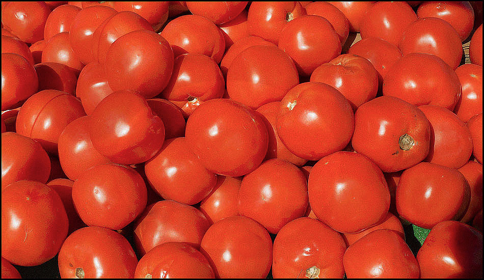 Autumn-Tomatoes a