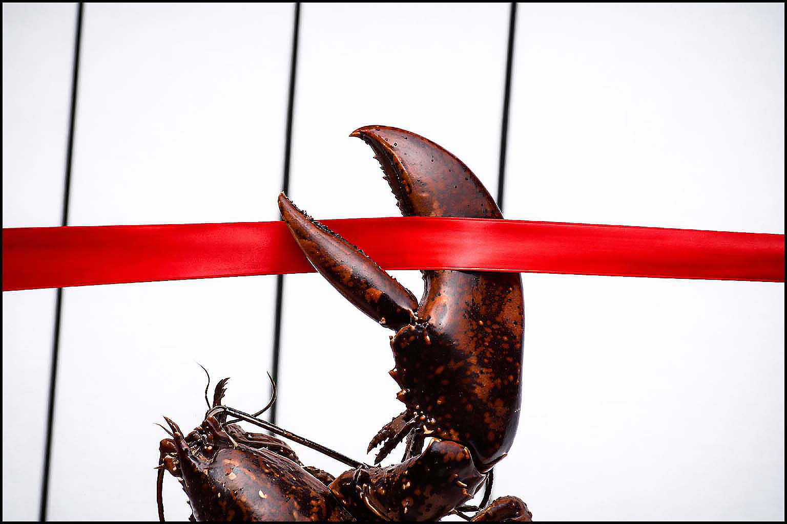 grand opening seafood Rest